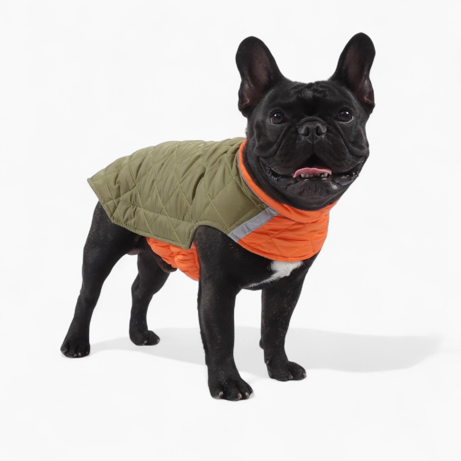 PawVentura™-French-Bulldog-Winter-Jacket.jpg