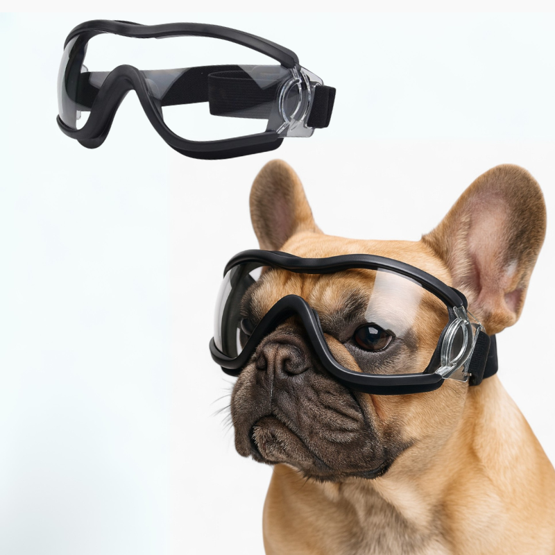 PawVue-French-Bulldog-Goggles.jpg