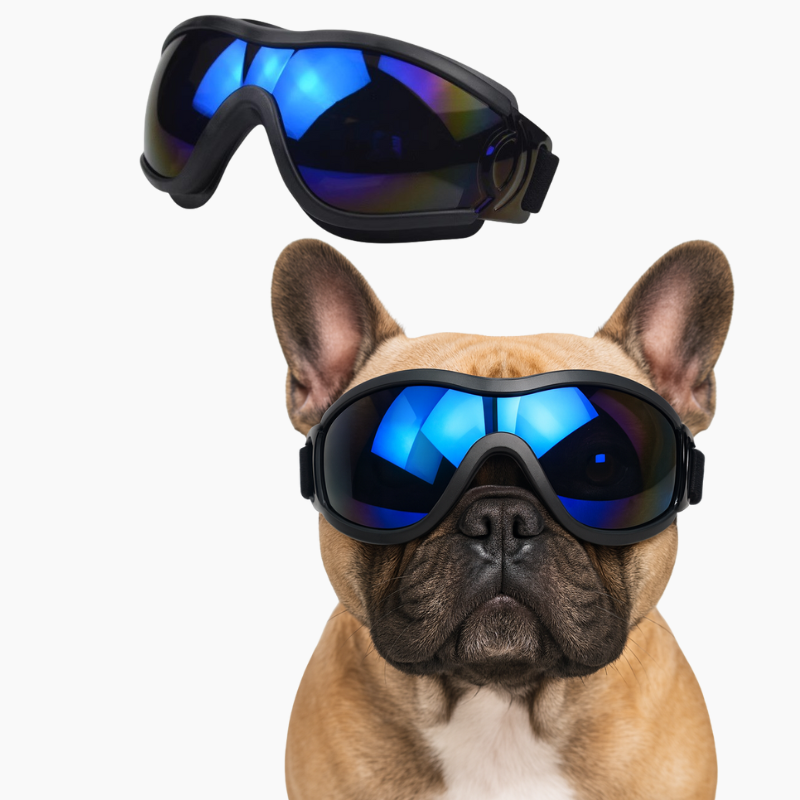 PawVue-French-Bulldog-Goggles.jpg