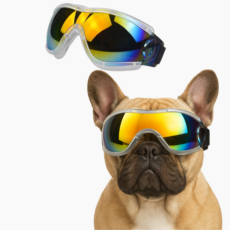 PawVue-French-Bulldog-Goggles.jpg