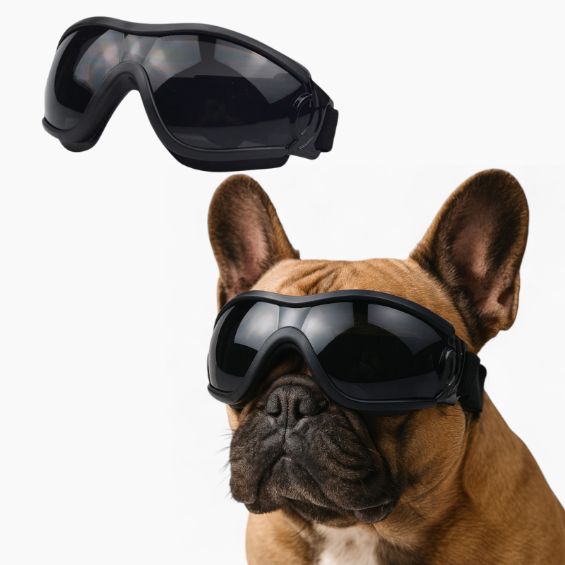 canine goggles PawVue French Bulldog Goggles – Windproof UV Protection Dog Sunglasses