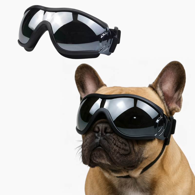 french bulldog goggles PawVue French Bulldog Goggles – Windproof UV Protection Dog Sunglasses
