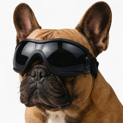PawVue-French-Bulldog-Goggles.jpg
