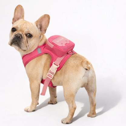 Pawkit-Frenchie-Harness-Backpack.jpg