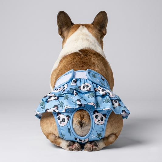 Pawlina-French-Bulldog-Diaper-Skirt.jpg