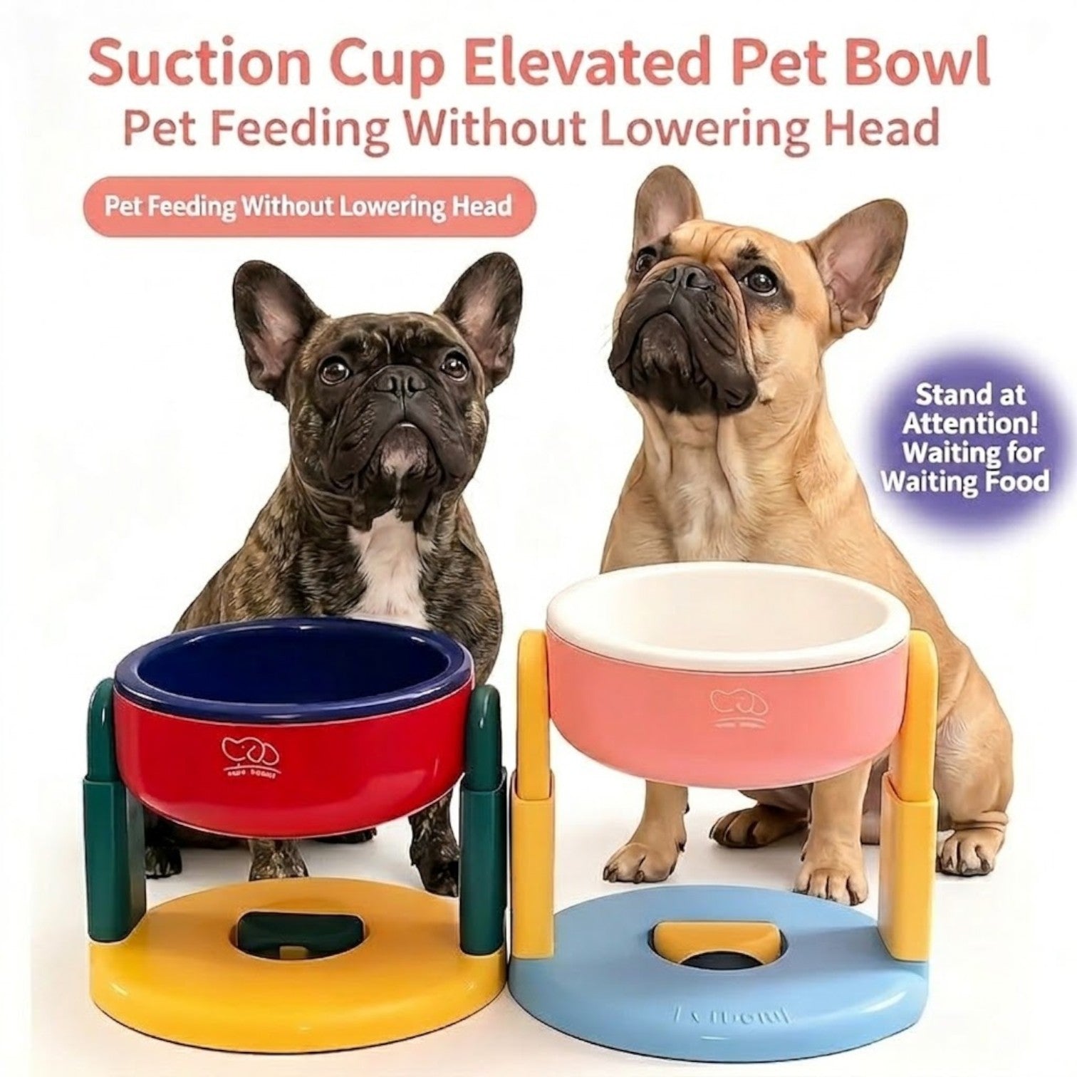Pawloft-Frenchie-Elevated-Bowl.jpg