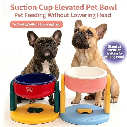 Pawloft-Frenchie-Elevated-Bowl.jpg