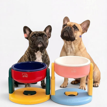 Pawloft-Frenchie-Elevated-Bowl.jpg