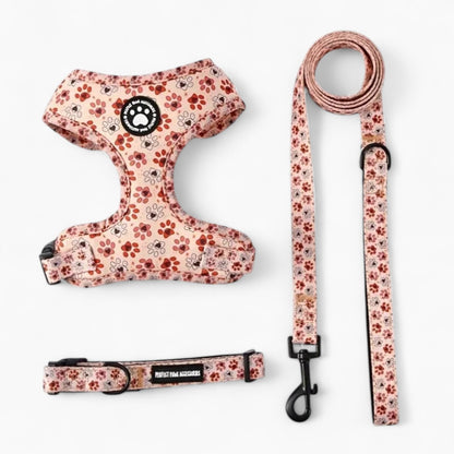 Pawzora-Frenchie-Harness-Set.jpg