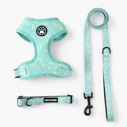 Pawzora-Frenchie-Harness-Set.jpg