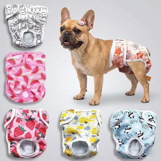 Pawzy-Frenchie-Cartoon-Diaper.jpg