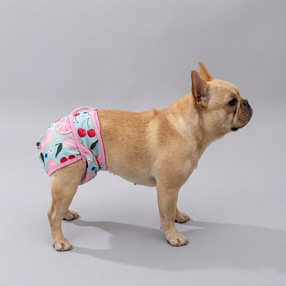 Pawzy-Frenchie-Cartoon-Diaper.jpg