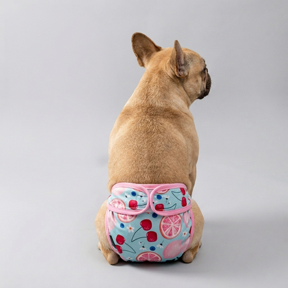 Pawzy-Frenchie-Cartoon-Diaper.jpg