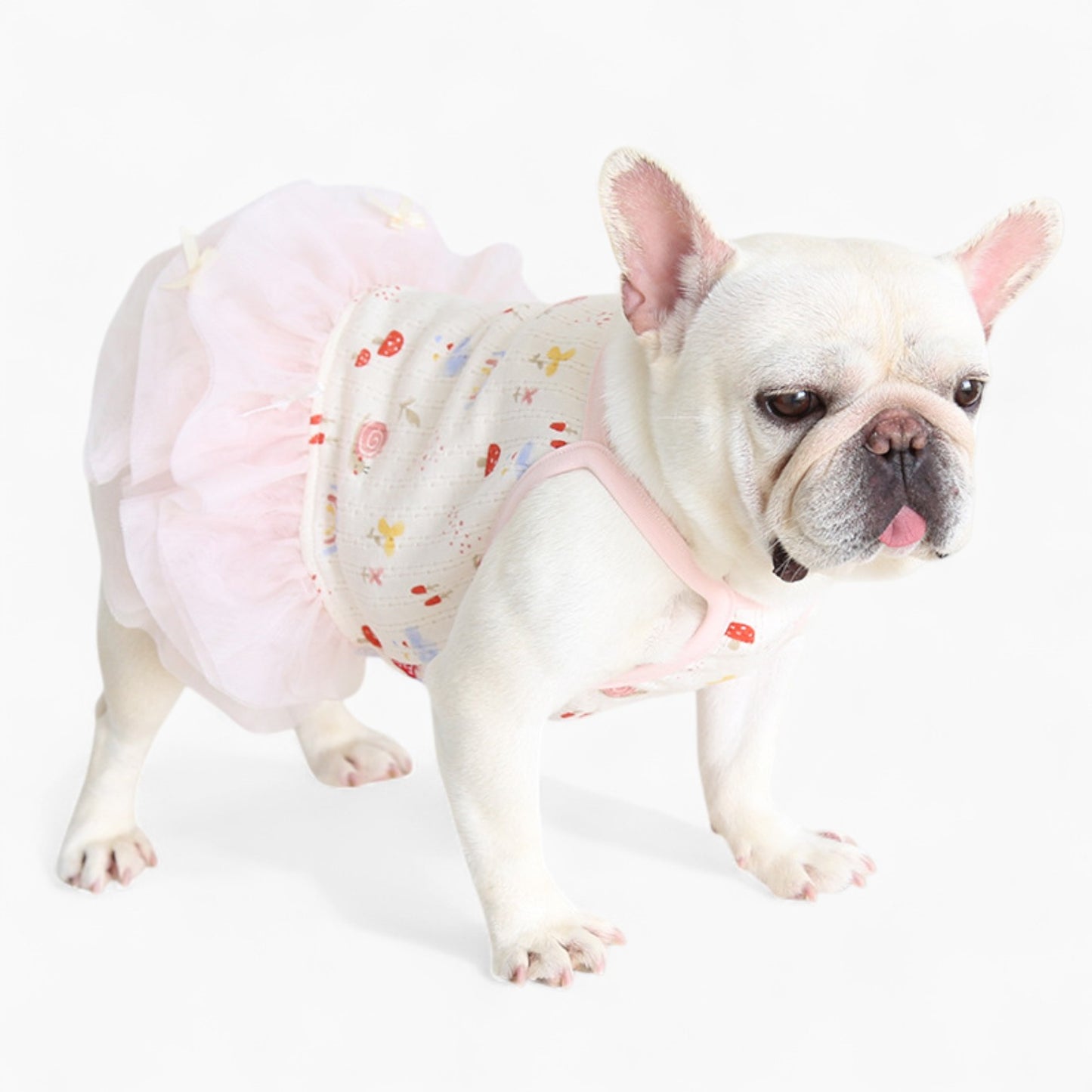 PetStyle-Frenchie-Princess-Dress.jpg