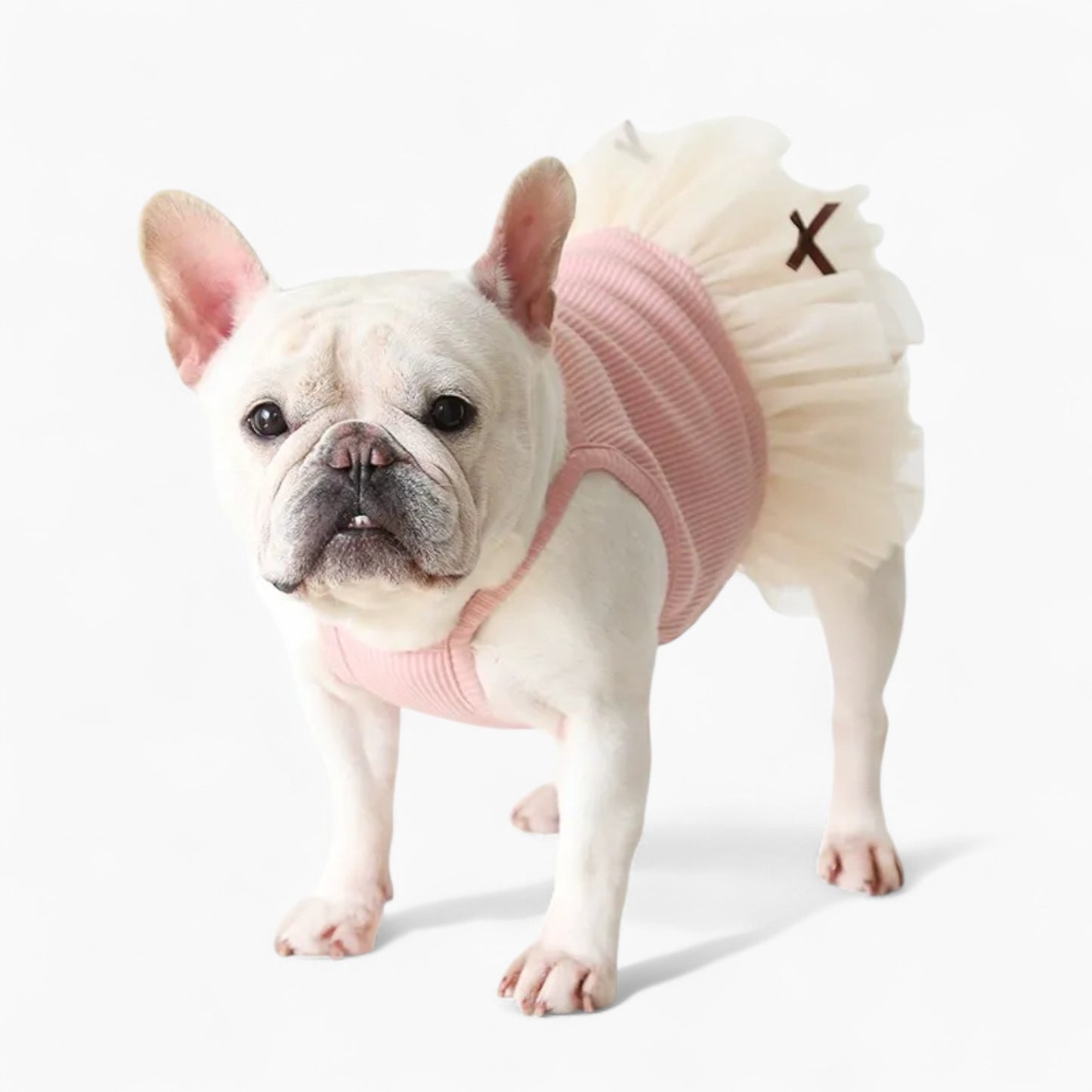 PetStyle-Frenchie-Princess-Dress.jpg