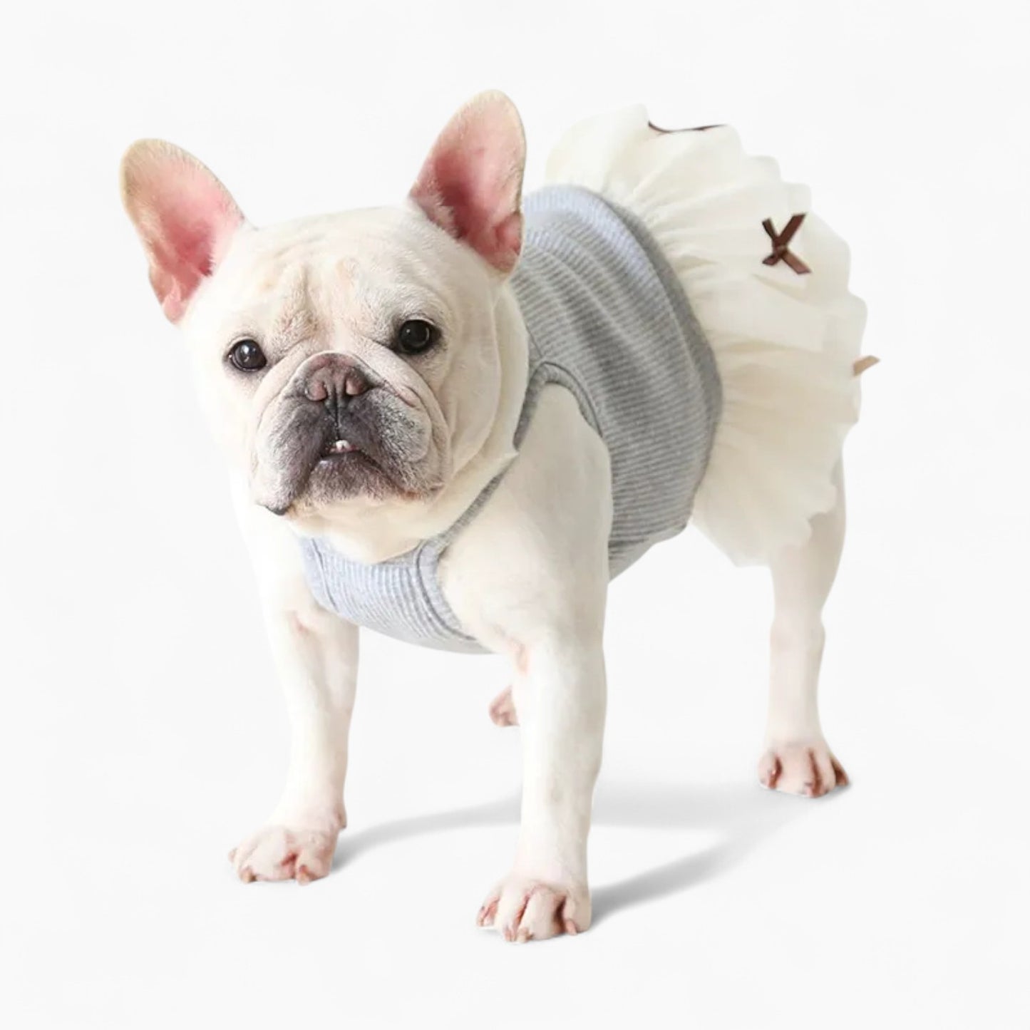 PetStyle-Frenchie-Princess-Dress.jpg