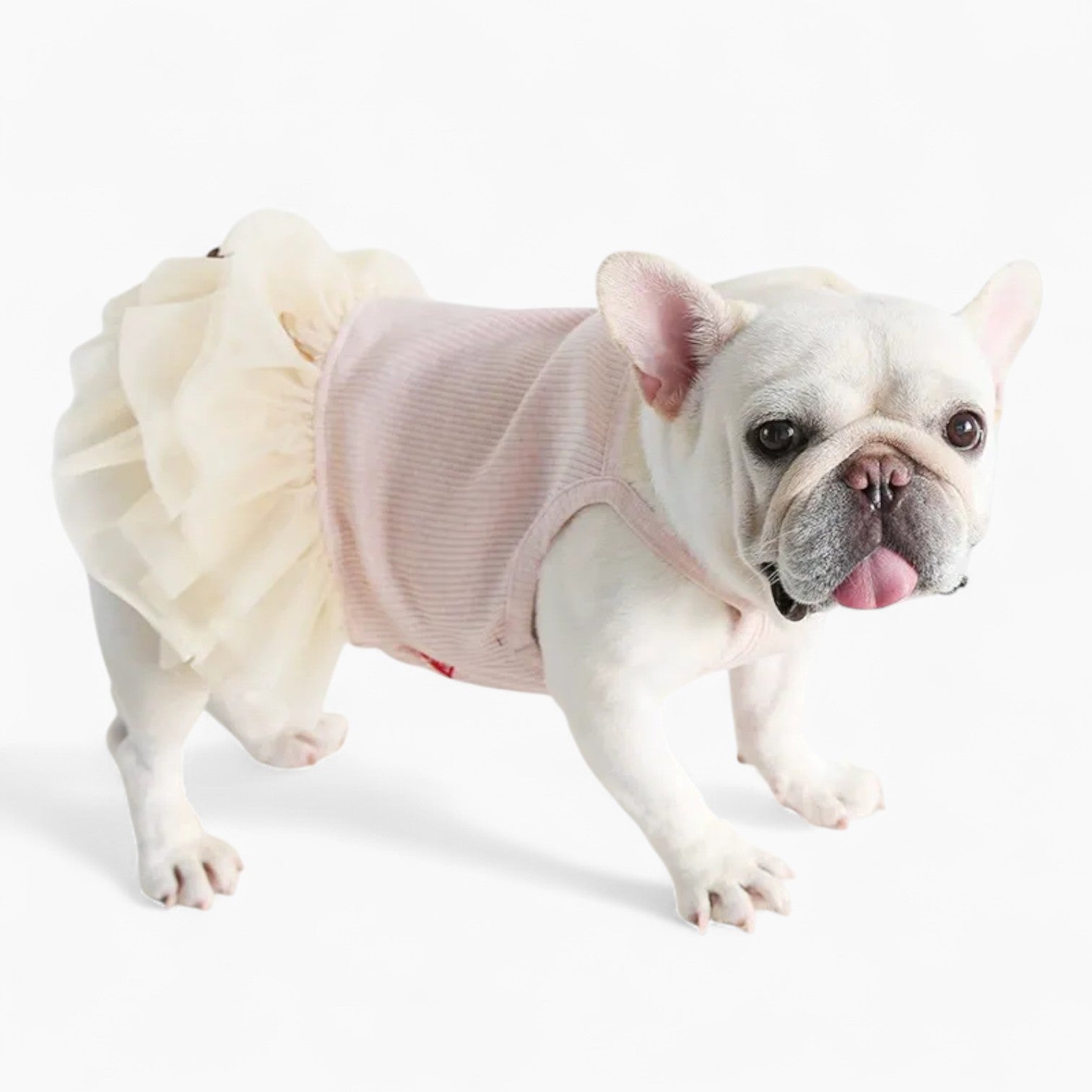 PetStyle-Frenchie-Princess-Dress.jpg