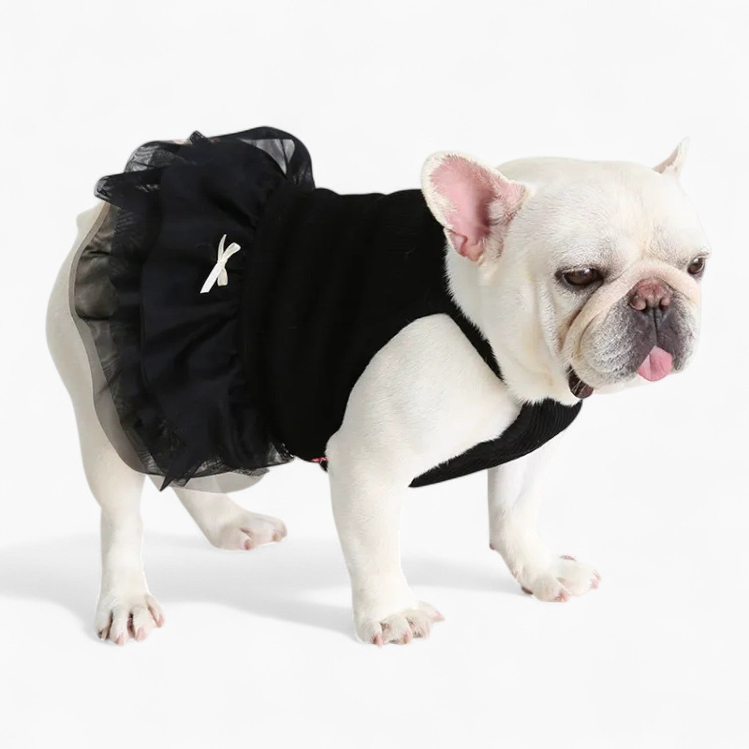 PetStyle-Frenchie-Princess-Dress.jpg