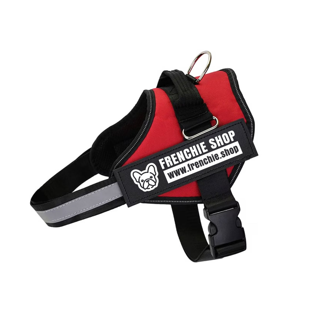 Chex - Personalized French Bulldog Harness