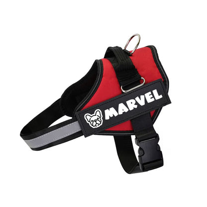 Maxie - Personalized French Bulldog Harness