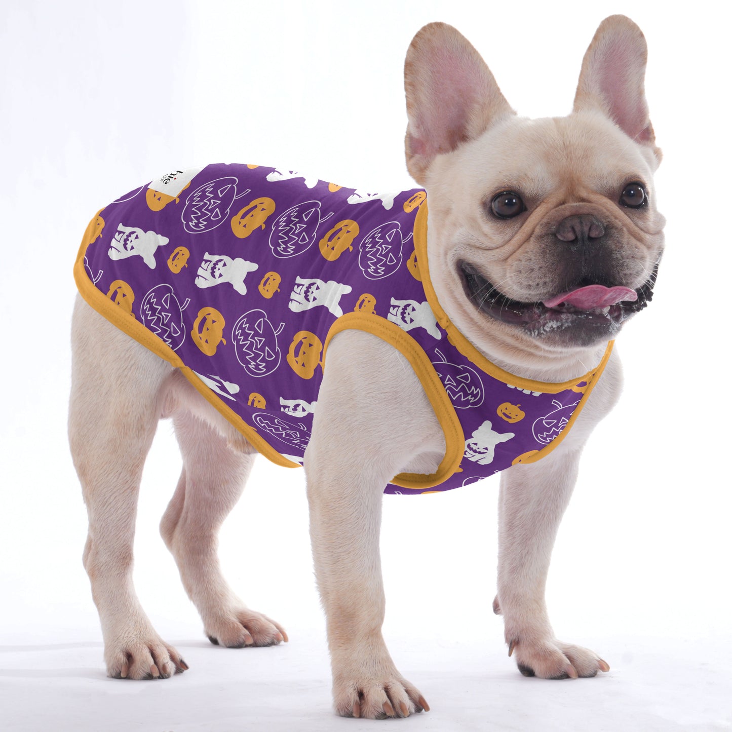 Rachelle - Halloween Shirt for French bulldog
