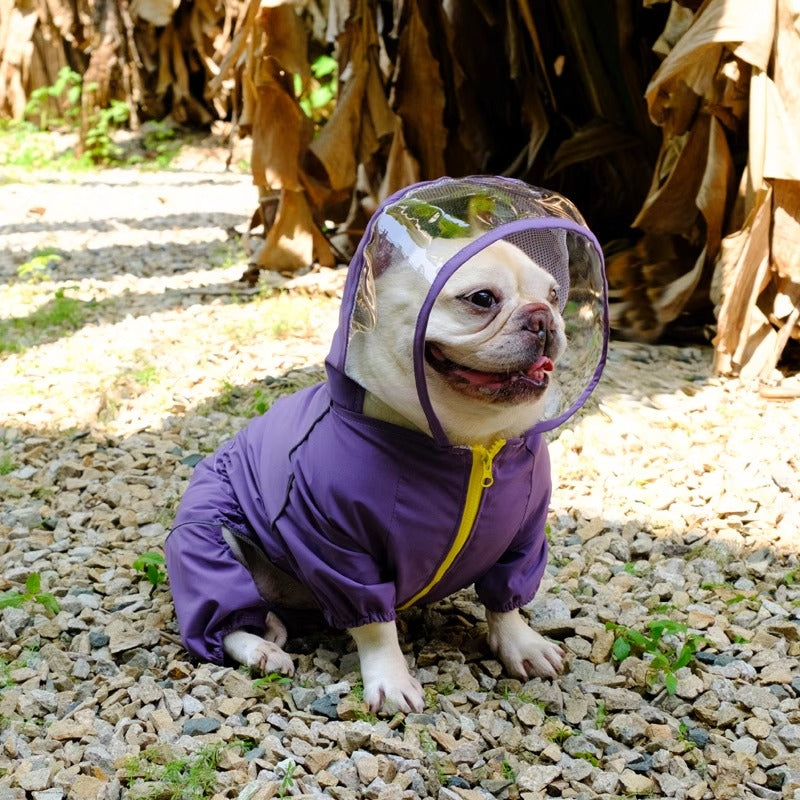 RainPaw-Frenchie-Hooded-Raincoat.jpg