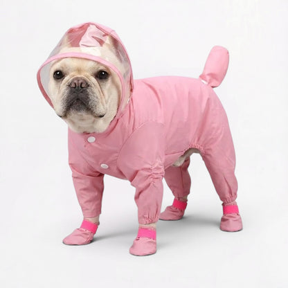 RainShield-Frenchie-Full-Body-Raincoat.jpg
