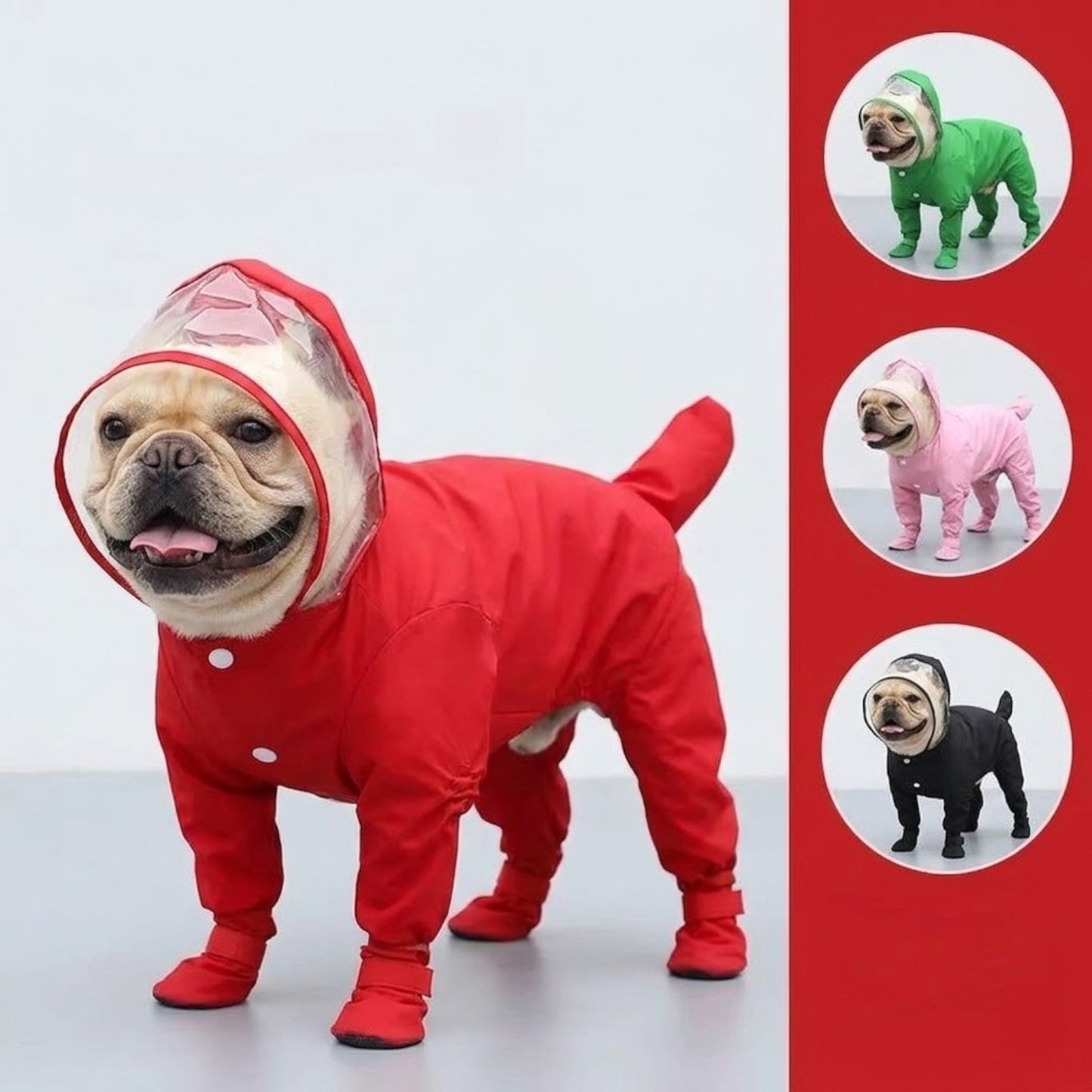 RainShield-Frenchie-Full-Body-Raincoat.jpg