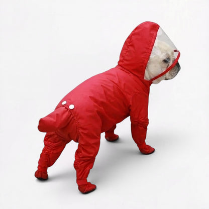 RainShield-Frenchie-Full-Body-Raincoat.jpg