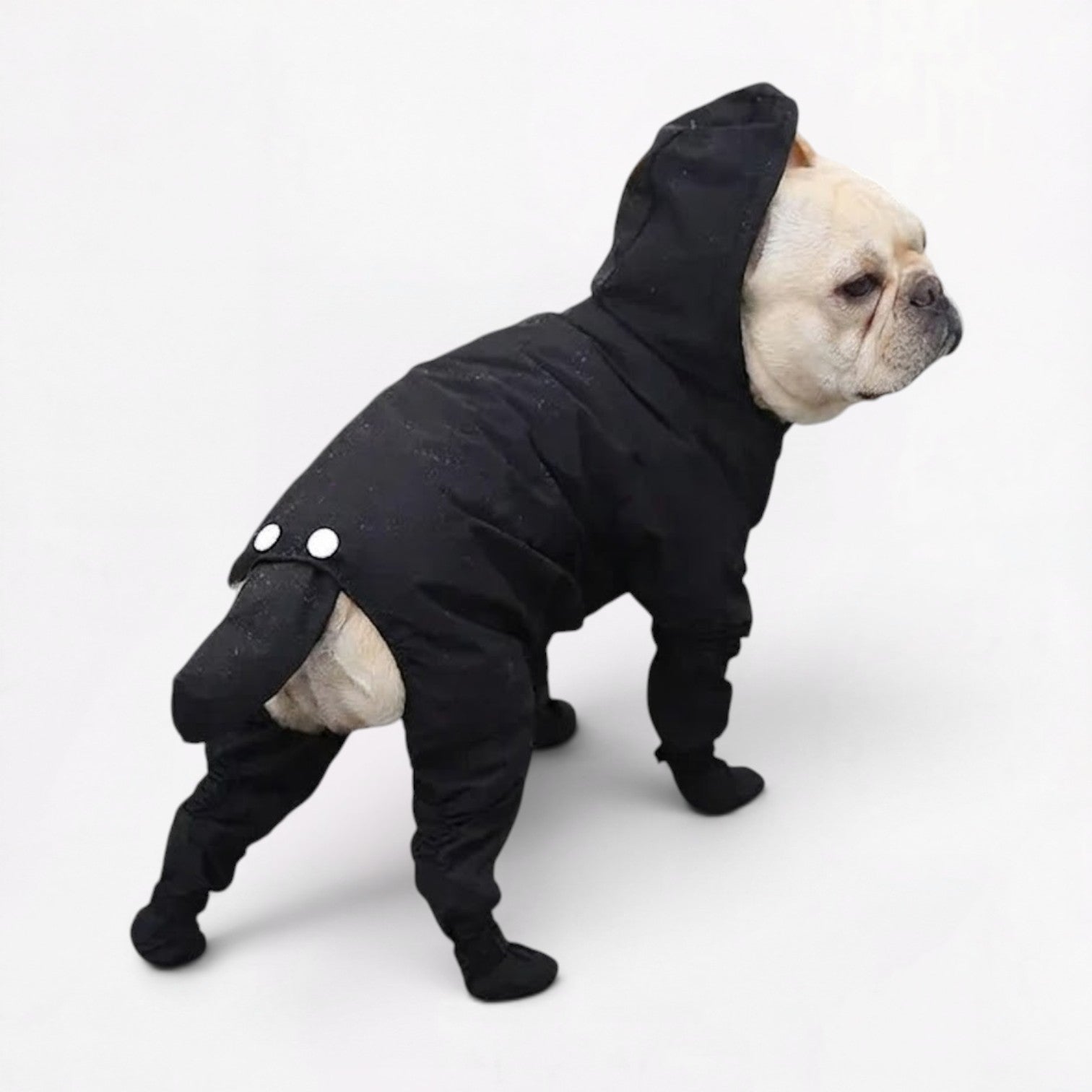 RainShield-Frenchie-Full-Body-Raincoat.jpg