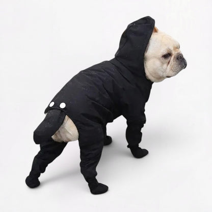 RainShield-Frenchie-Full-Body-Raincoat.jpg
