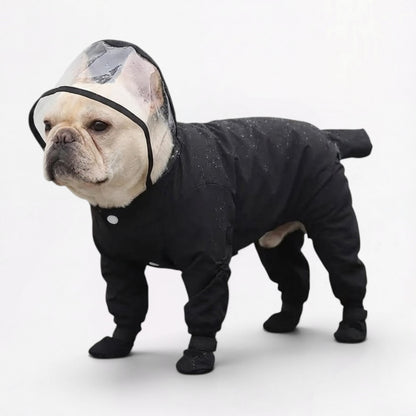 RainShield-Frenchie-Full-Body-Raincoat.jpg