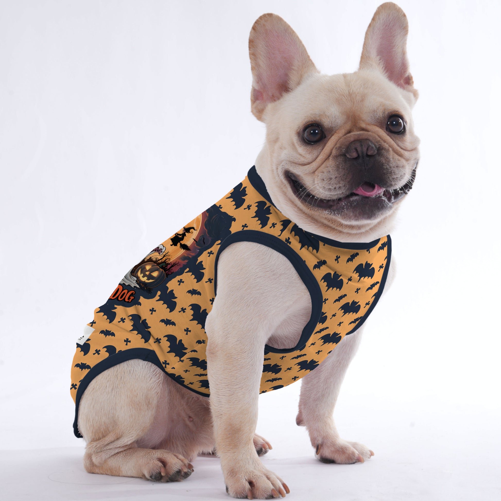 Rain Halloween Shirt for Frenchies