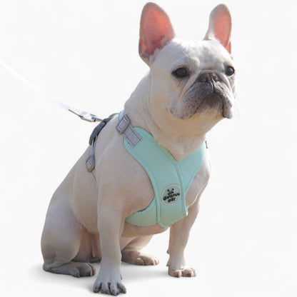 Refleciere Frenchie harness set
