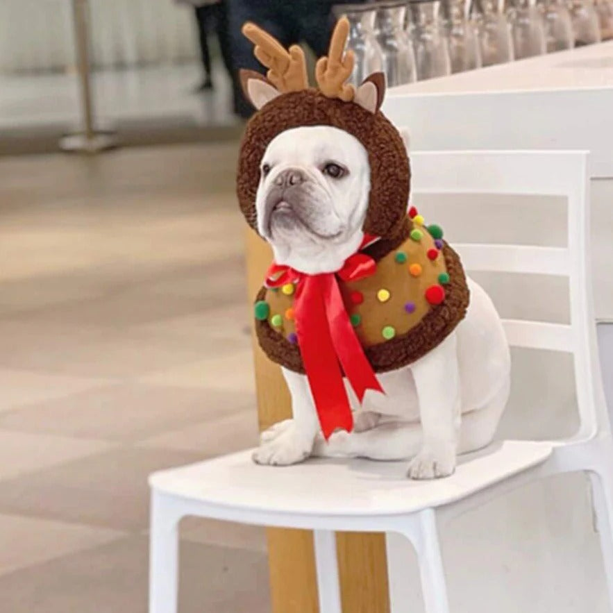 ReinDox-Frenchie-Reindeer-Cloak.jpg