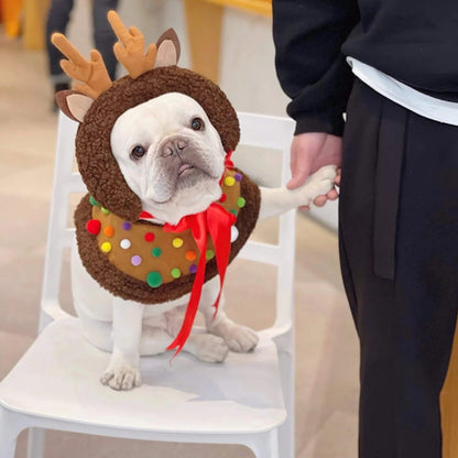 ReinDox-Frenchie-Reindeer-Cloak.jpg