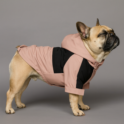 Rosava-Frenchie-Pink-Raincoat.jpg