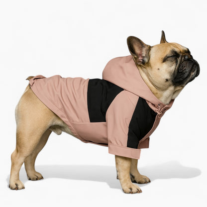 Rosava-Frenchie-Pink-Raincoat.jpg