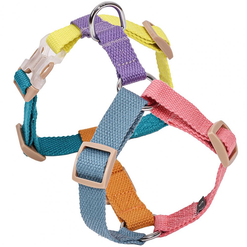 Adjustable-Comfort-Frenchie-Chest-Strap-Harness-for-Outdoor-Adventures-www.frenchie.shop