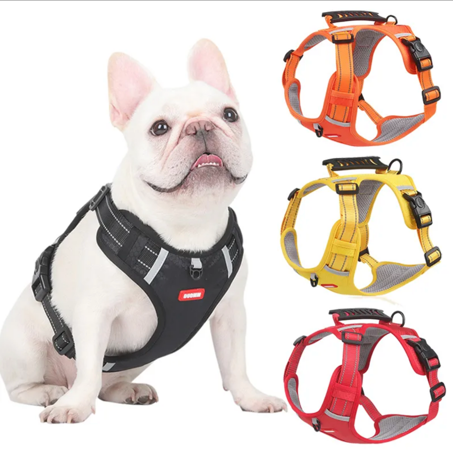 Premium Frenchie Harness Vest: Adjustable with Safety Reflective Lead Straps (WS 0723)