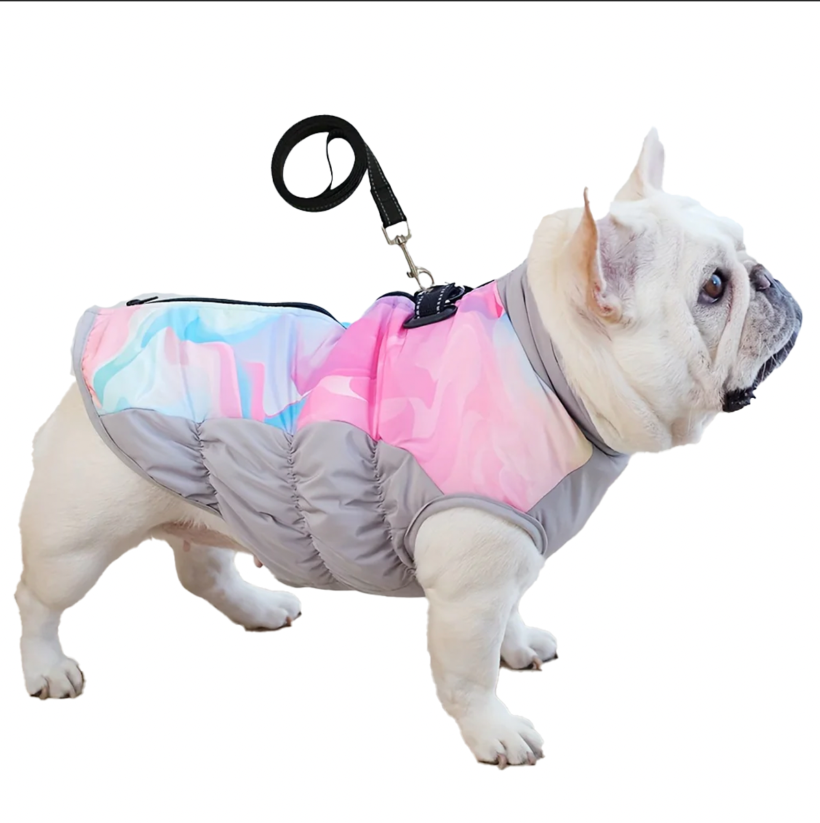 ArcticPaw Frenchie Warm Coat Waterproof Winter Cozy Jacket with Leash Rope