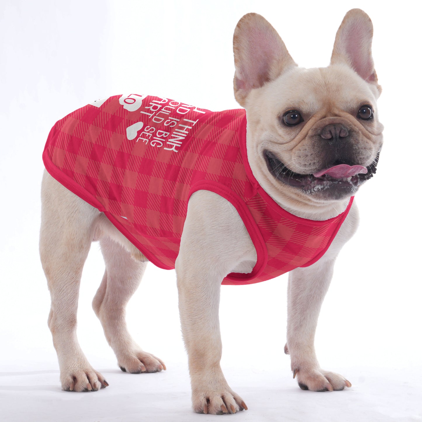 Camiseta personalizada para Frenchies con el nombre de tu cachorro - Frenchie Shop Original