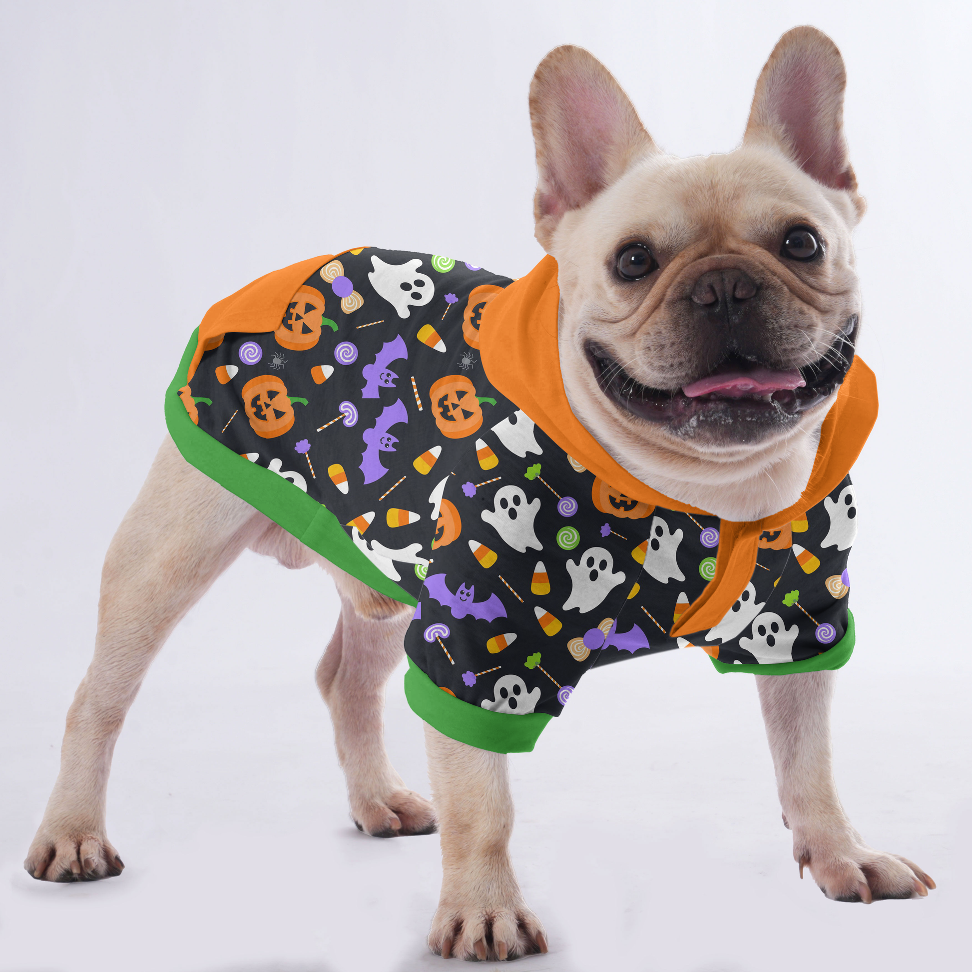 Sloopy Halloween Hoodies for Frenchie