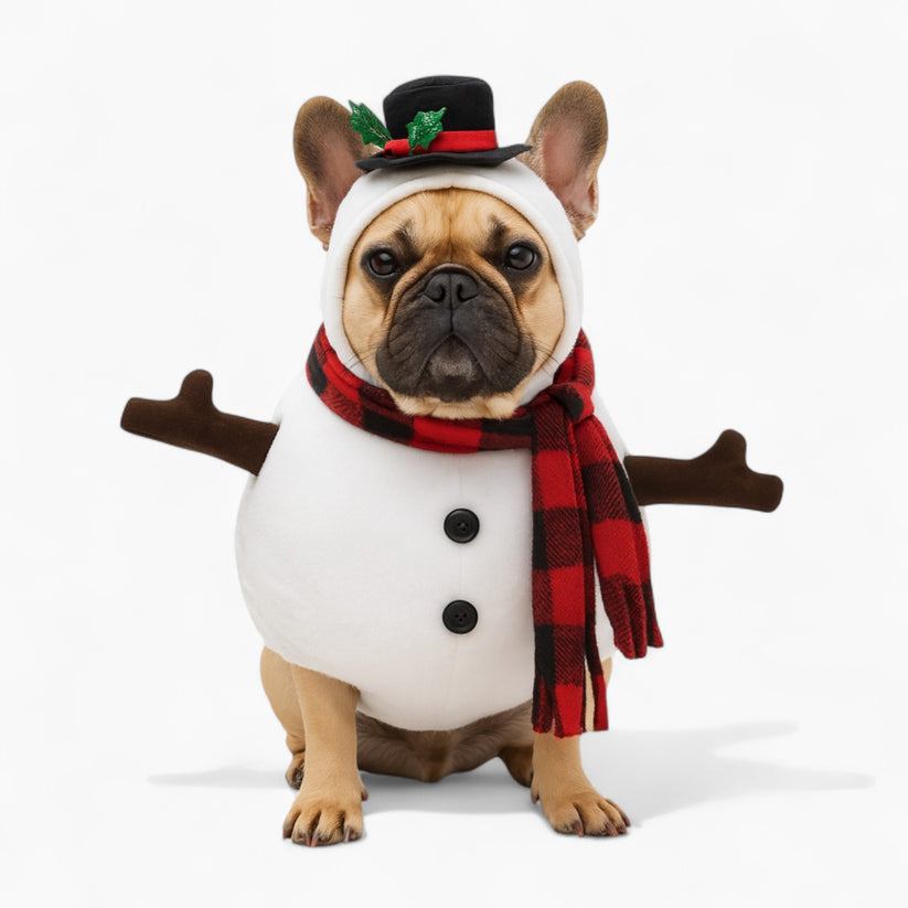 SnoWuff Frenchie Snowman Costume