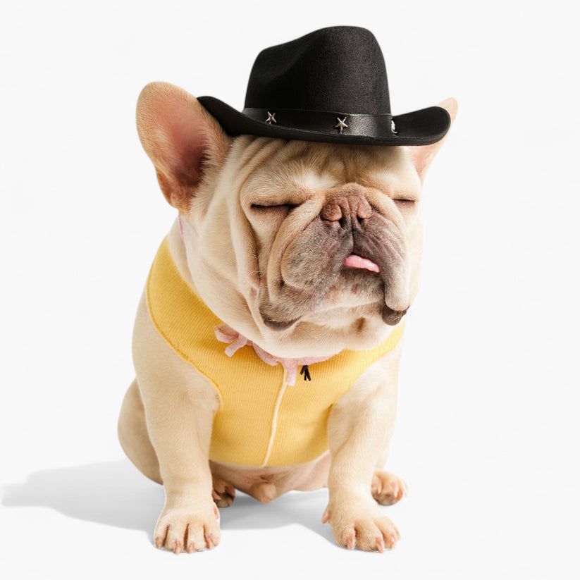 Snorty French Bulldog Cowboy Hat