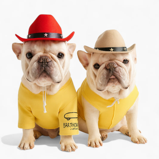 Snorty-French-Bulldog-Cowboy-Hat.jpg