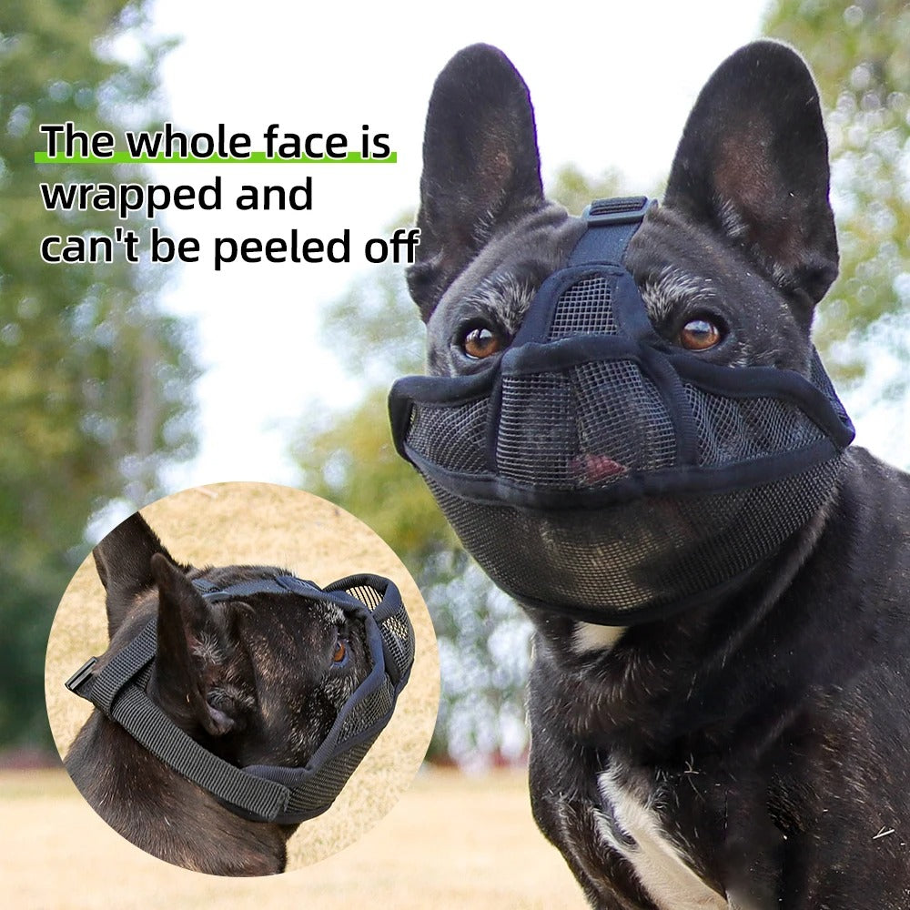 SnoutEase-Frenchie-Mesh-Muzzle.jpg