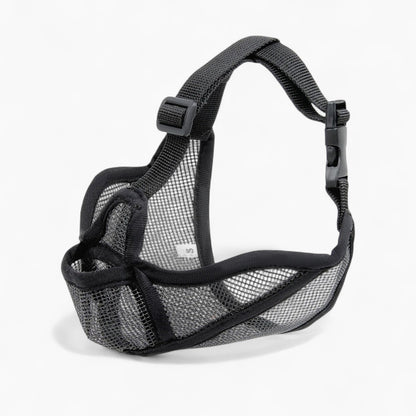SnoutEase-Frenchie-Mesh-Muzzle.jpg