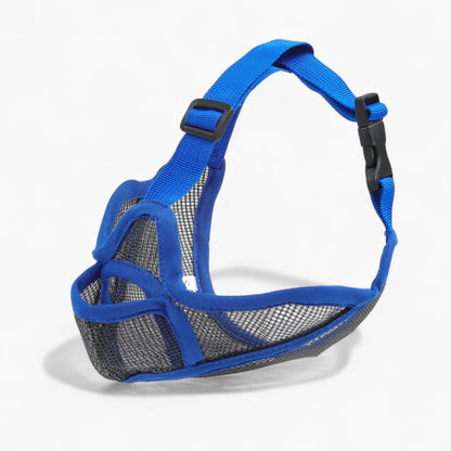 SnoutEase-Frenchie-Mesh-Muzzle.jpg