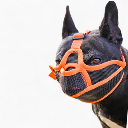 SnoutEase-Frenchie-Mesh-Muzzle.jpg